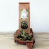 Guayusa (50 gram) - Image 2
