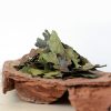 Guayusa bladeren