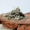 sage Salvia officinalis tea - herbal spirit