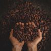 Munay Cacao Extract Tinctuur 10 ml. - Afbeelding 2